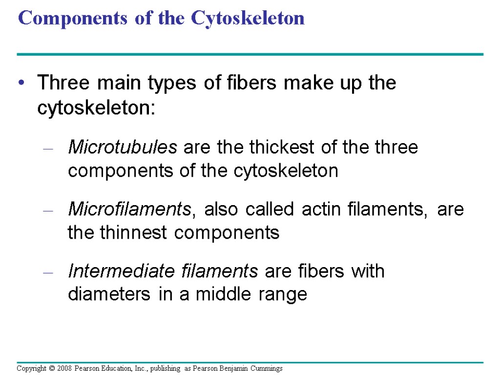 Components of the Cytoskeleton Three main types of fibers make up the cytoskeleton: Microtubules
